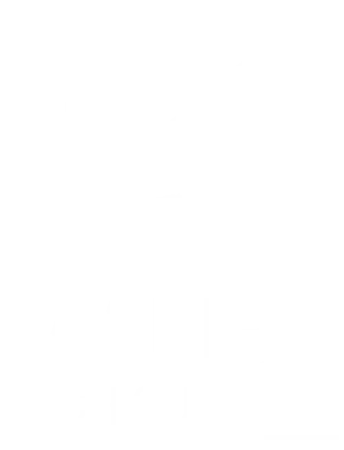 BashingComputerLogoFinal-white-title